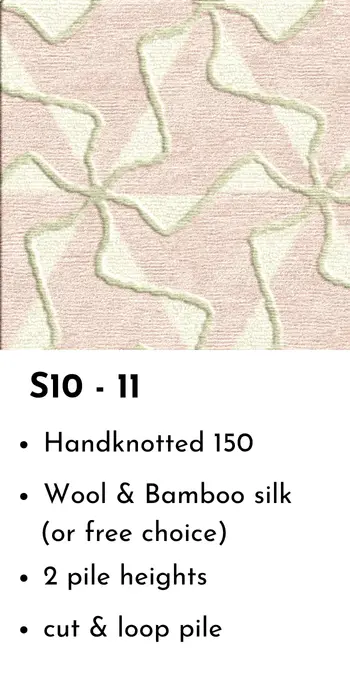 S10-11-EN