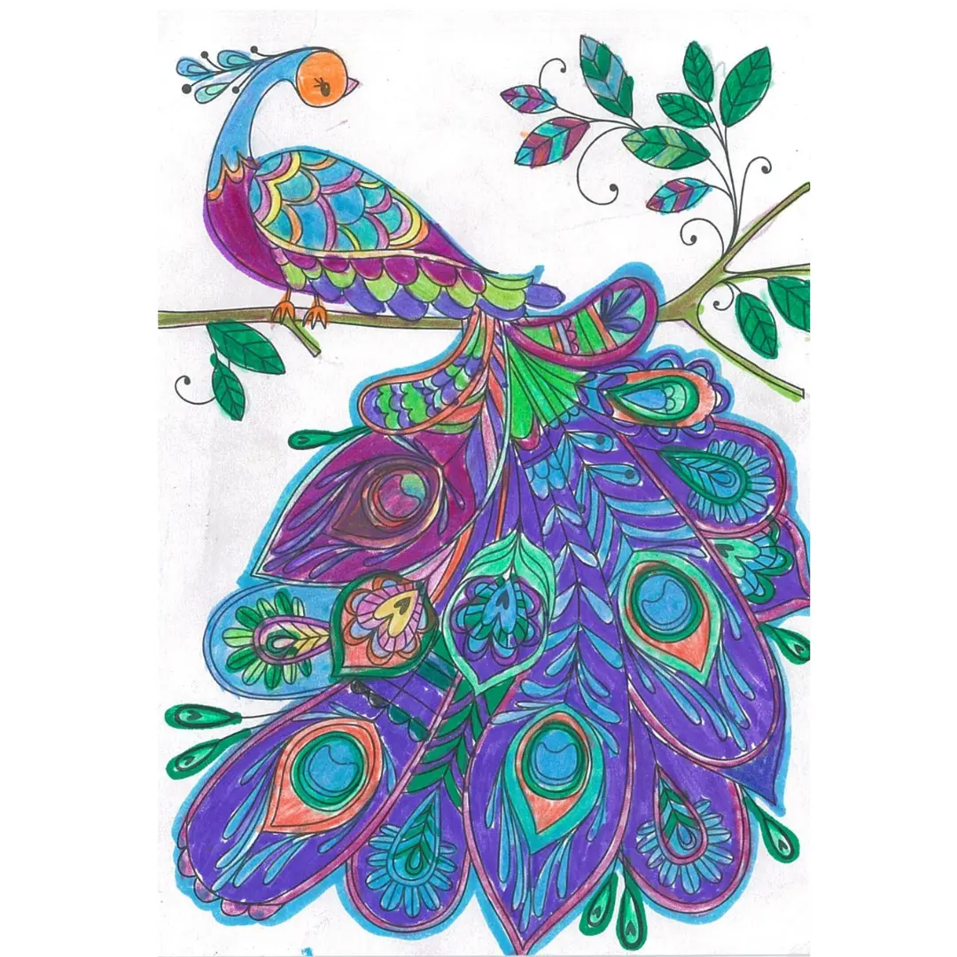 Página para colorear con el pavo real morado y verde que inspiró la alfombra infantil hecha a mano a medida