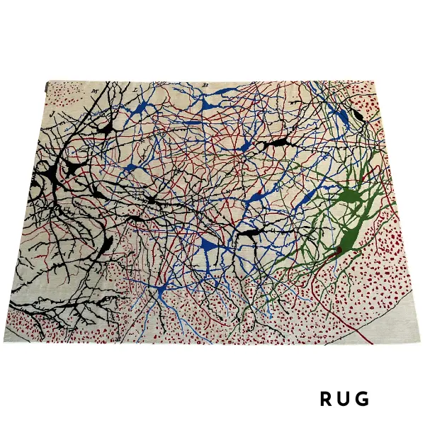 Handknotted rug based on Ramon y Cajal nerve drawing, beige, red, green, black, blue (2)