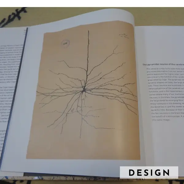 Dessin d'un neurone par Ramon y Cajal dans un livre, inspiration pour le tapis fait main sur mesure basé sur ce dessin.